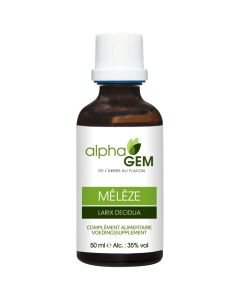 Mélèze (Larix Decidua) bourgeon BIO, 50 ml